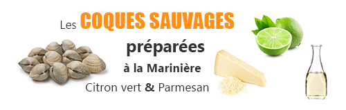 recette lefish gourmand de coques a la mariniere parmesan et citron vert